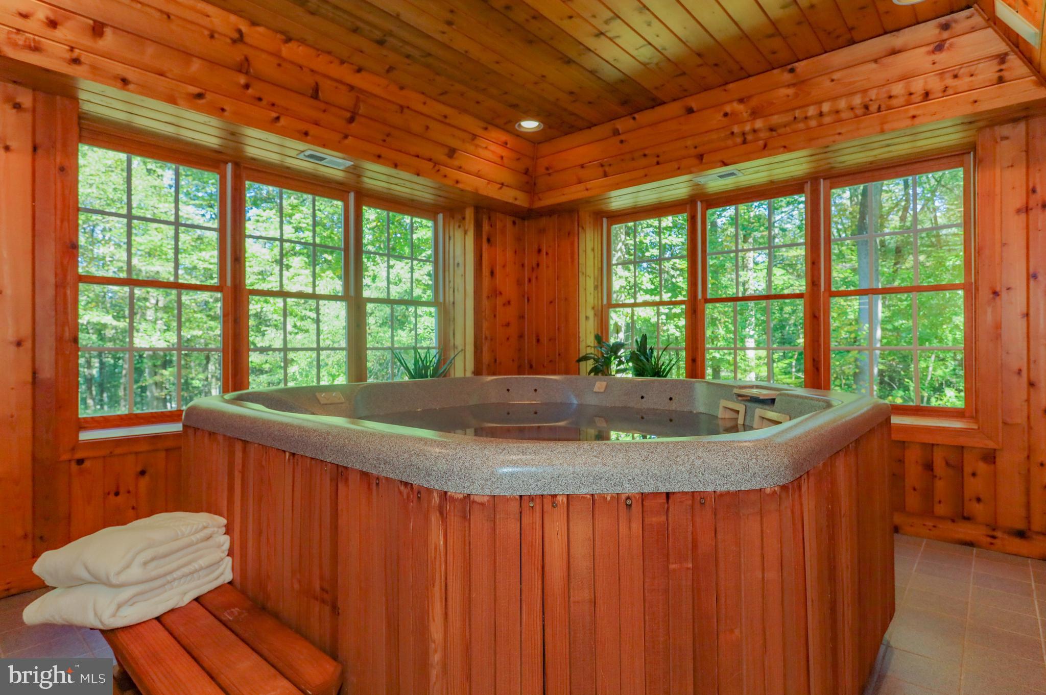 205 Fern Ridge Landenberg, PA 19350 - Photo 35 of 42 Spa Room