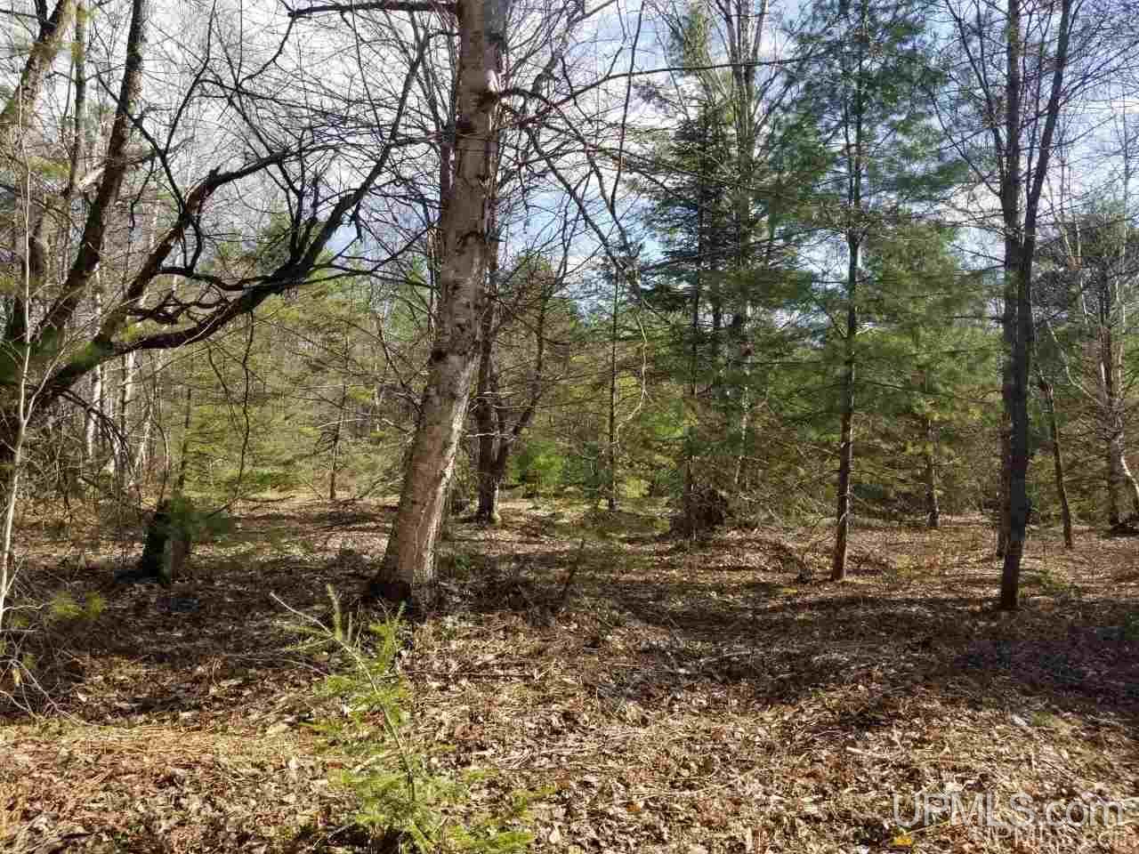 Tbd 2224 Road Wetmore, MI 49895 - Photo 7 of 14