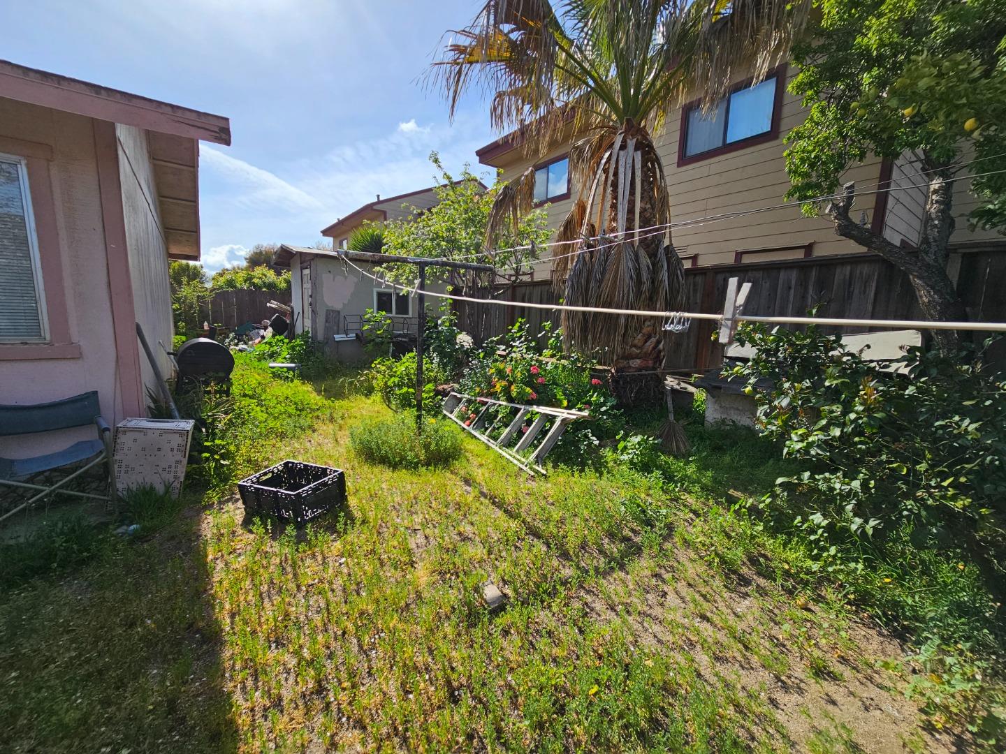 206 Montezuma Drive Soledad, CA 93960 - Photo 7 of 8 a view of a garden with a flower garden