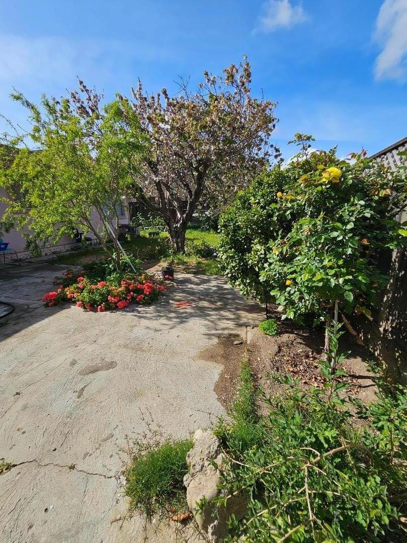 206 Montezuma Drive Soledad, CA 93960 - Photo 8 of 8 a view of a garden with a tree