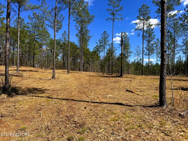 $572,900 | 26 B Hughes Lake Road, Cleveland, TN 37323