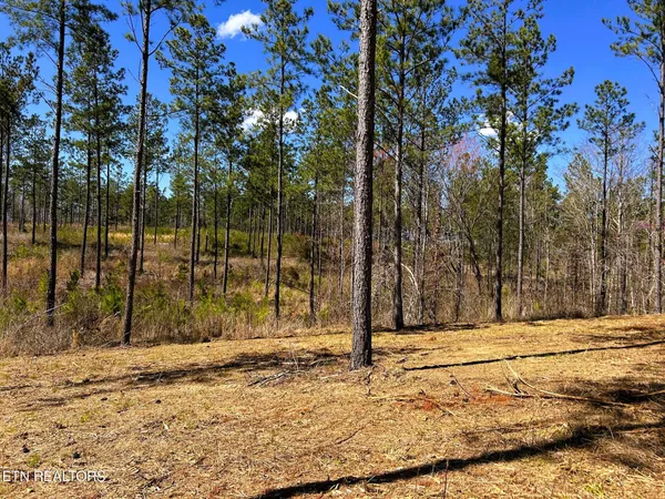 $572,900 | 26 B Hughes Lake Road, Cleveland, TN 37323