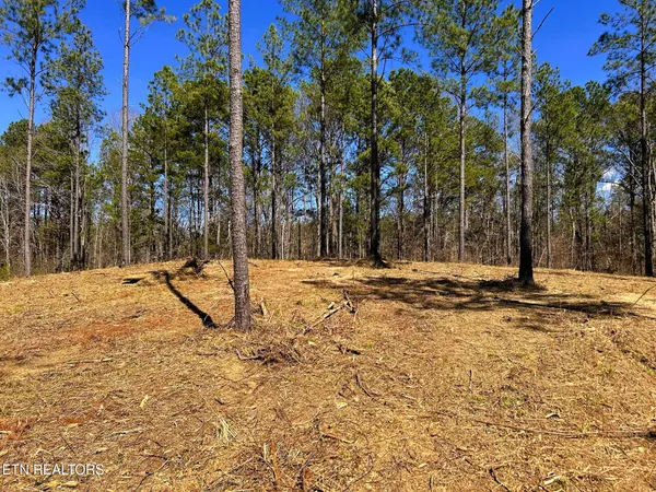 $572,900 | 26 B Hughes Lake Road, Cleveland, TN 37323