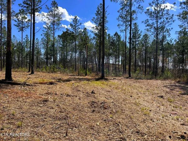 $572,900 | 26 B Hughes Lake Road, Cleveland, TN 37323