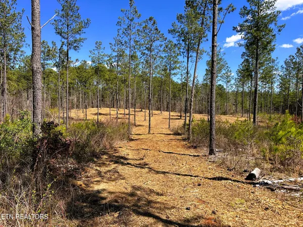 $572,900 | 26 B Hughes Lake Road, Cleveland, TN 37323