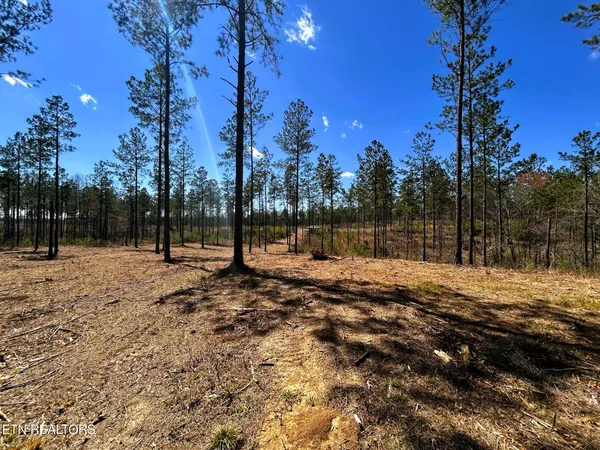 $572,900 | 26 B Hughes Lake Road, Cleveland, TN 37323