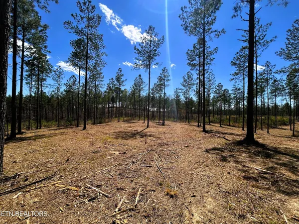 $572,900 | 26 B Hughes Lake Road, Cleveland, TN 37323