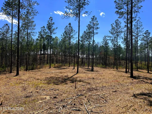 $572,900 | 26 B Hughes Lake Road, Cleveland, TN 37323