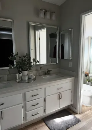 a bathroom with a sink a potted plant and a mirror