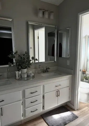 a bathroom with a sink a potted plant and a mirror