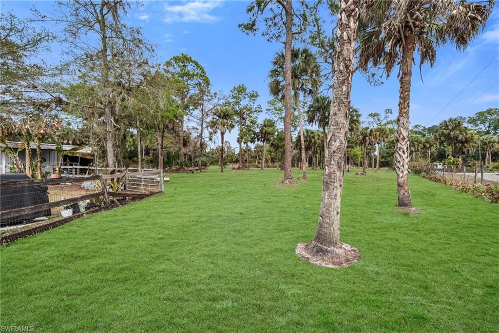1840 23rd Street Southwest Naples, FL 34117 - Photo 49 of 50 View of grassy yard