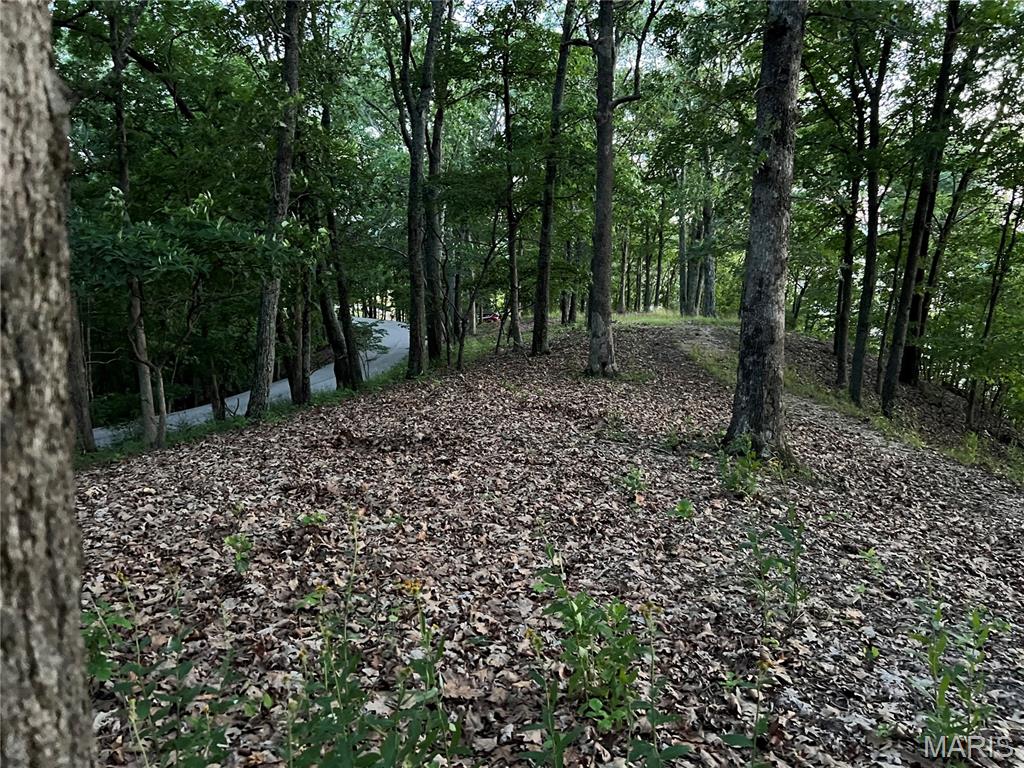 1055 Wings Road St. Albans, MO 63073 - Photo 8 of 21