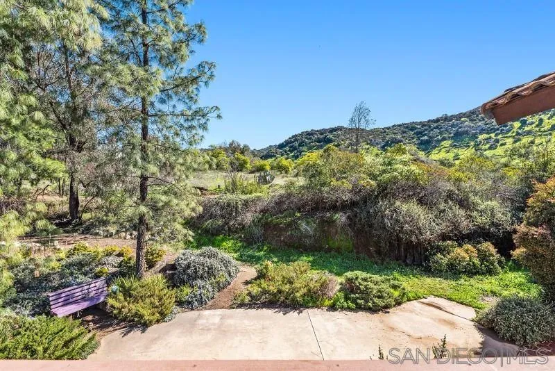 14578 Rios Canyon Road El Cajon, CA 92021 - Photo 46 of 61 a view of a yard with a tree