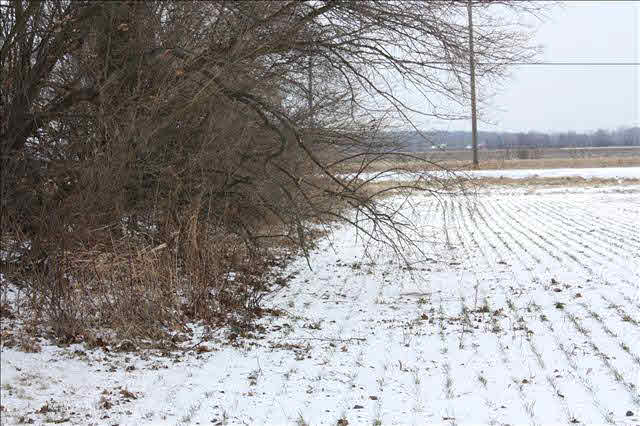 438 Rauch Road Temperance, MI 48182 - Photo 18 of 19 20388653-17.JPG