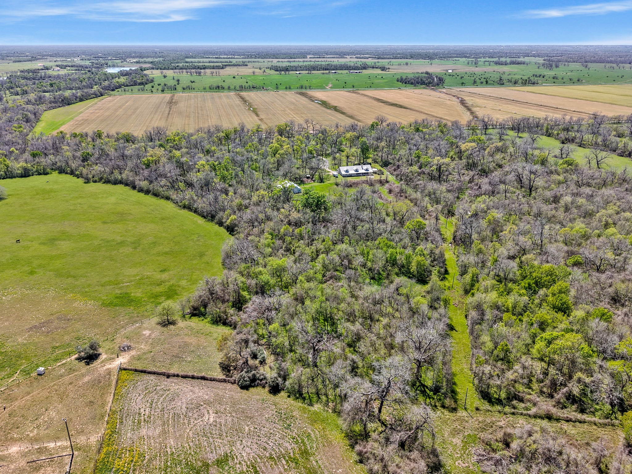 41712 Harpers Church Road Hempstead, TX 77445 - Photo 6 of 50 a view of a lake with a yard and mountain view