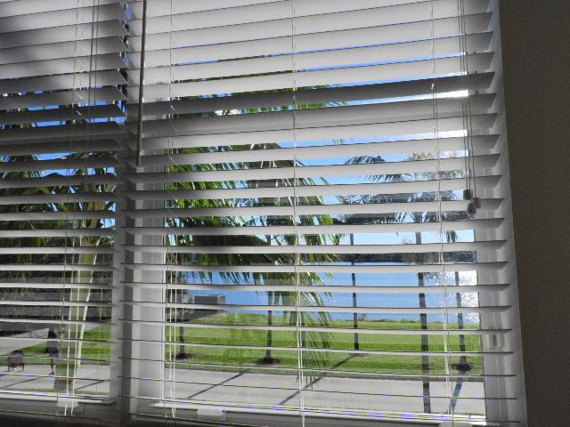 1410 Northwest 48th Lane Boca Raton, FL 33431 - Photo 34 of 78 Master Bed View