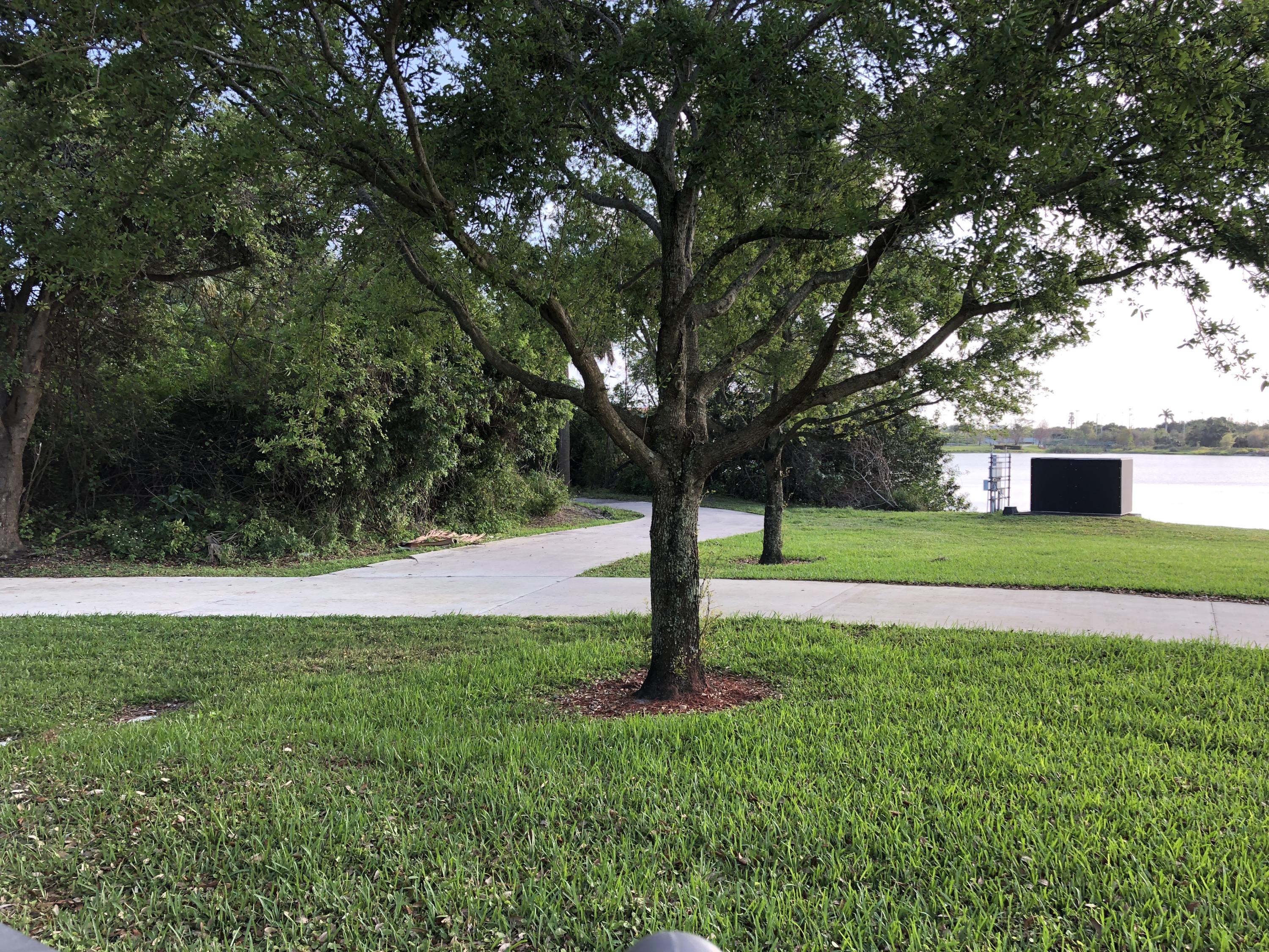 1410 Northwest 48th Lane Boca Raton, FL 33431 - Photo 50 of 78 IMG_0189
