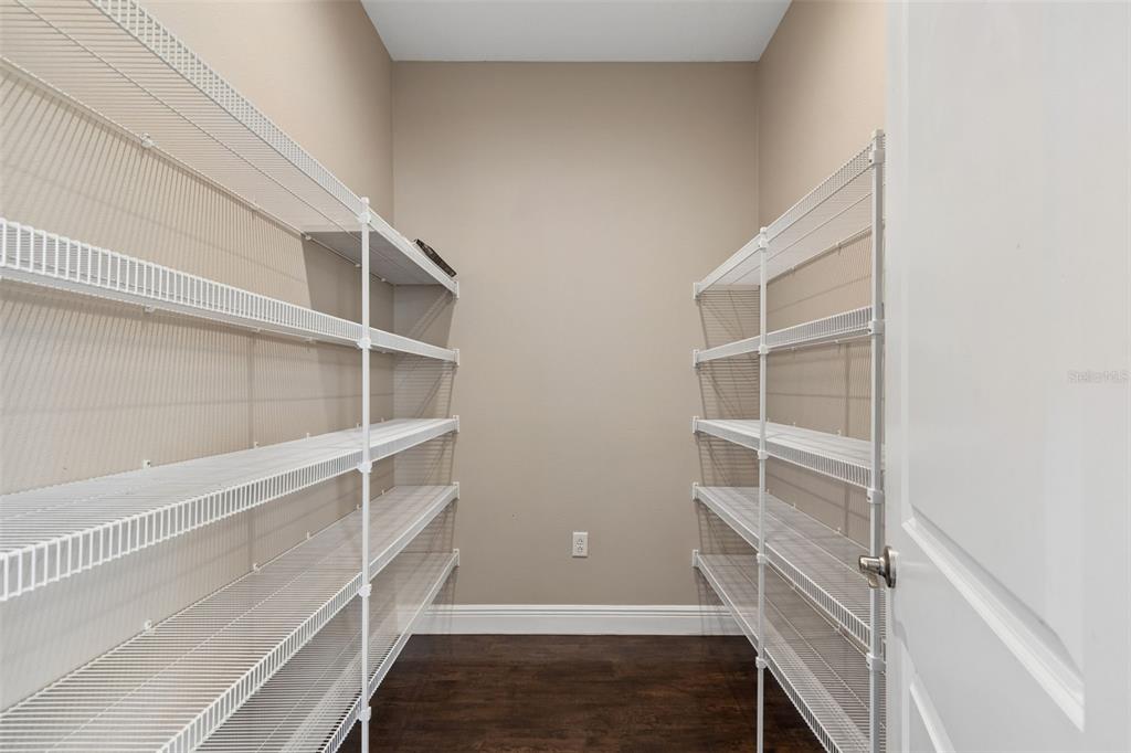 29913 Darby Road Dade City, FL 33525 - Photo 29 of 100 a view of an empty walk in closet