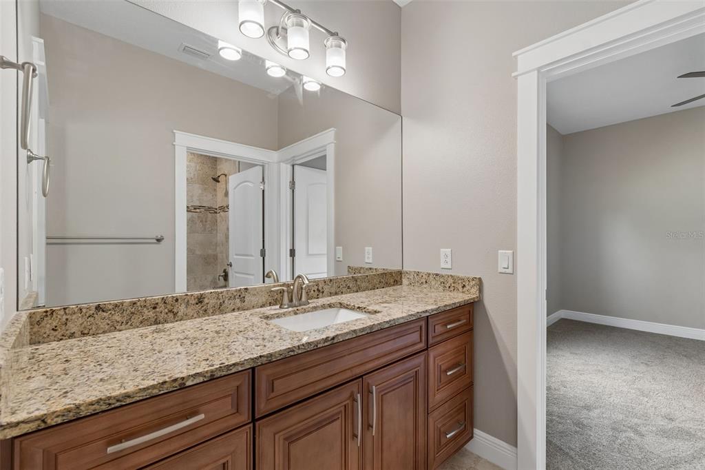 29913 Darby Road Dade City, FL 33525 - Photo 45 of 100 a bathroom with a granite countertop sink and a mirror