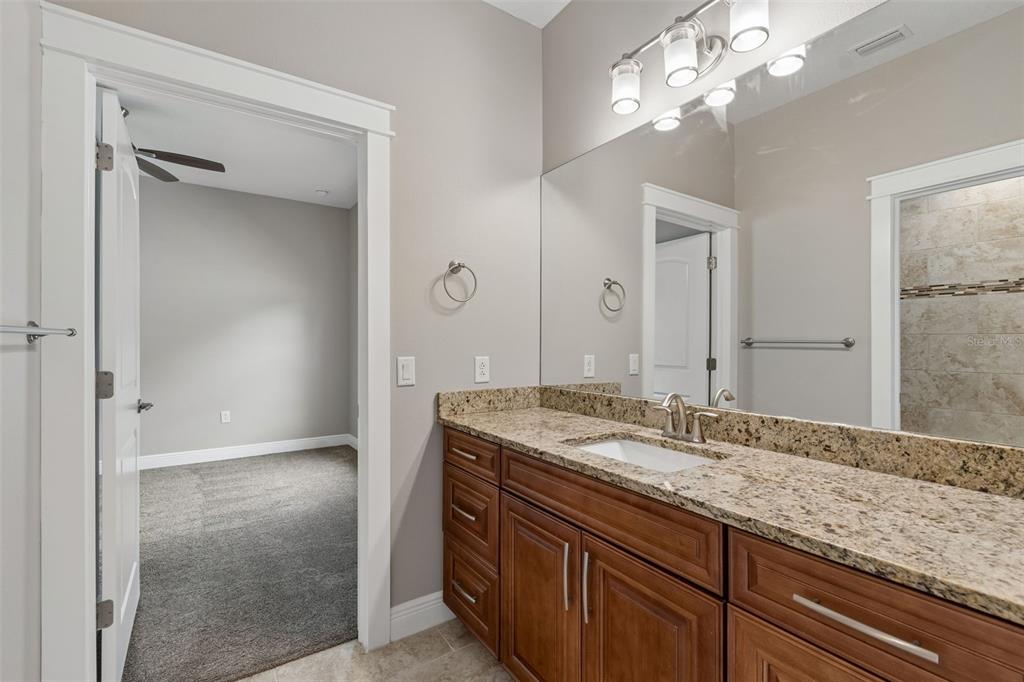 29913 Darby Road Dade City, FL 33525 - Photo 46 of 100 a bathroom with a granite countertop sink a mirror and a shower