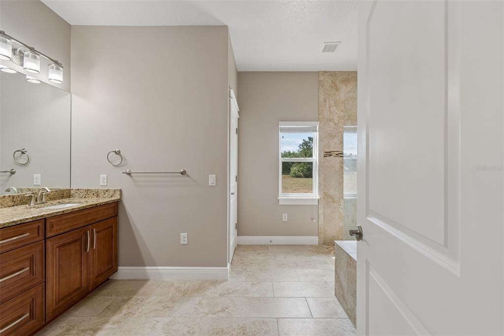 29913 Darby Road Dade City, FL 33525 - Photo 61 of 100 a bathroom with a granite countertop sink a mirror and a bathtub