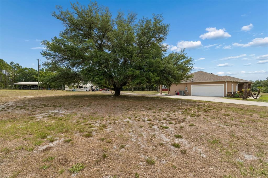29913 Darby Road Dade City, FL 33525 - Photo 84 of 100