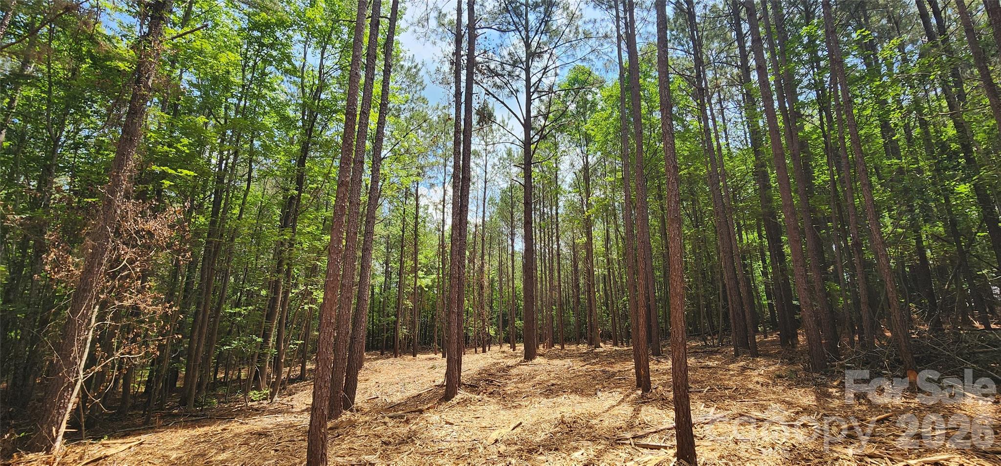 4870 Old Airport Road Winnsboro, SC 29180 - Photo 25 of 38