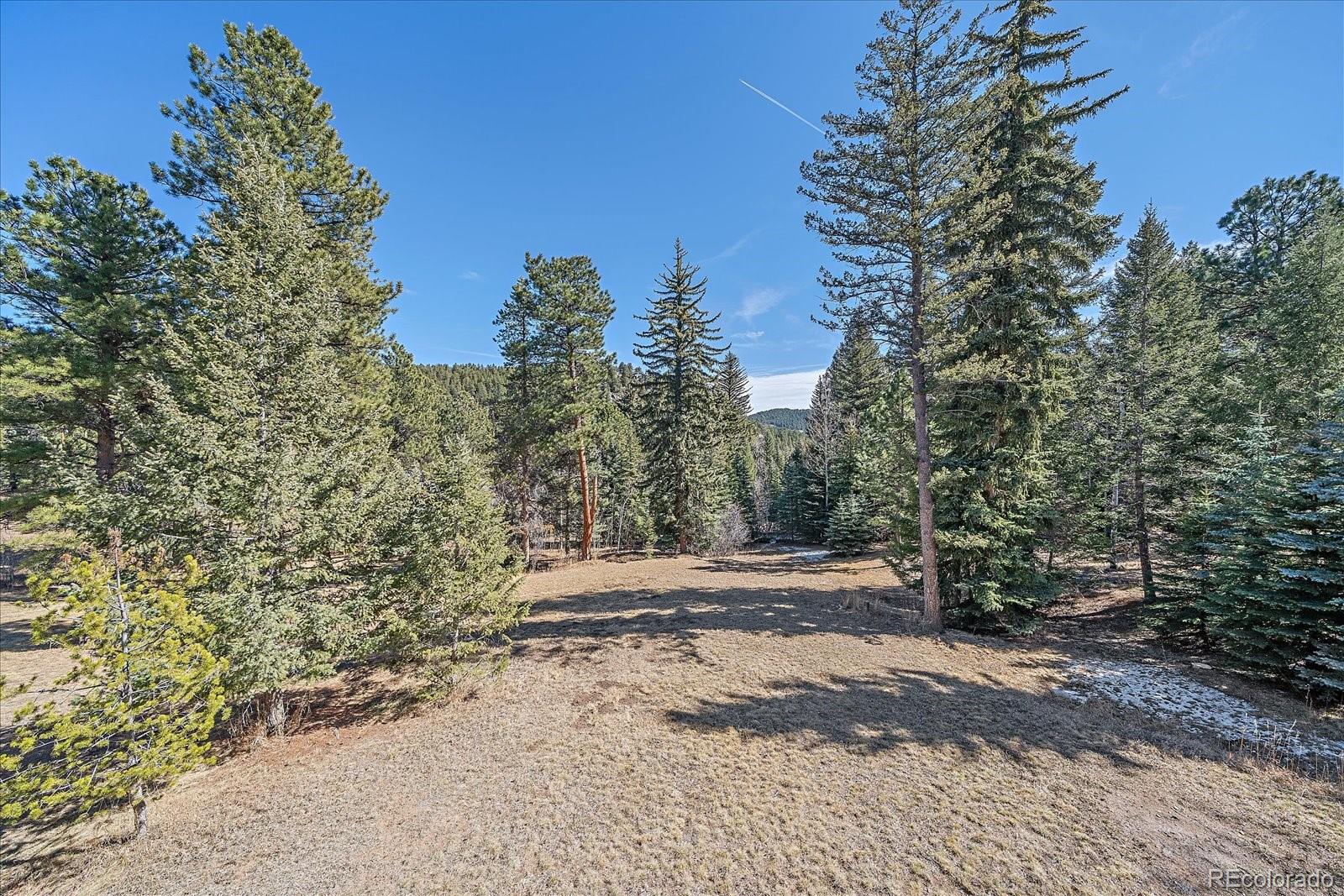 9948 South Turkey Creek Road Conifer, CO 80433 - Photo 49 of 50