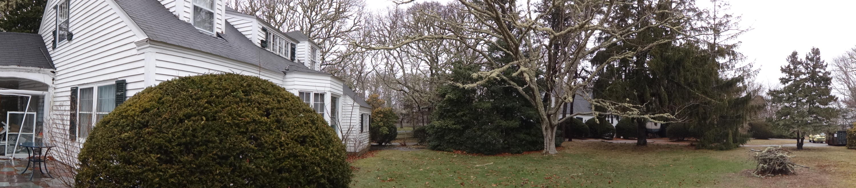 17 Bayview Road Harwich, MA 02646 - Photo 3 of 11 a view of a yard