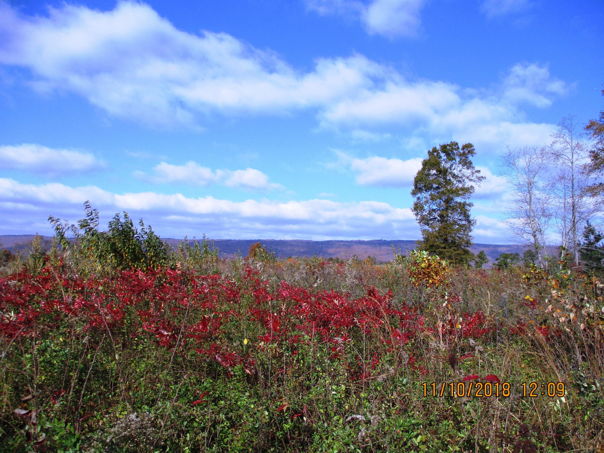 a view of a sky