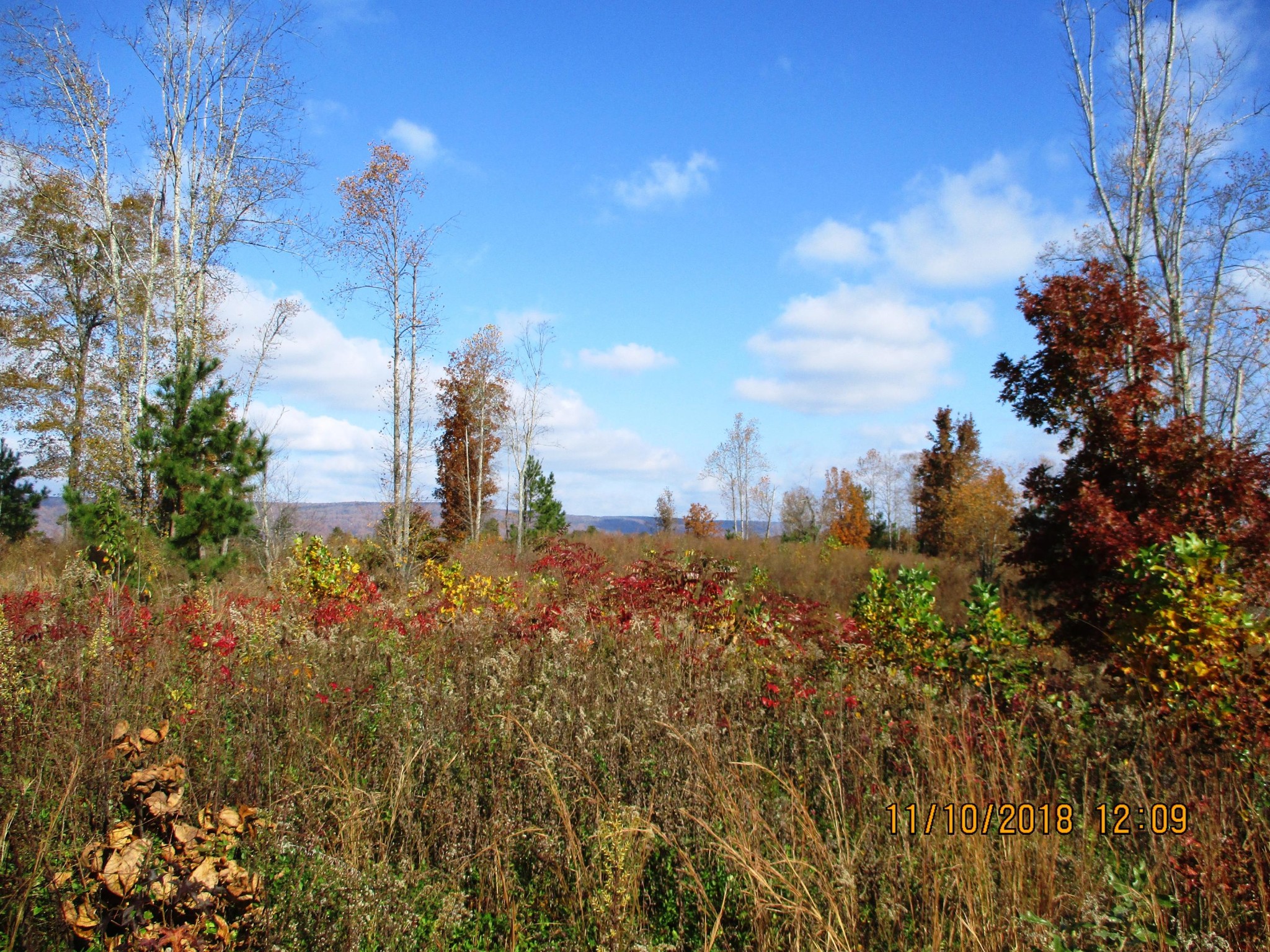 0 Lot 10 Sneed Road Dayton, TN 37321 - Photo 2 of 11 a city view