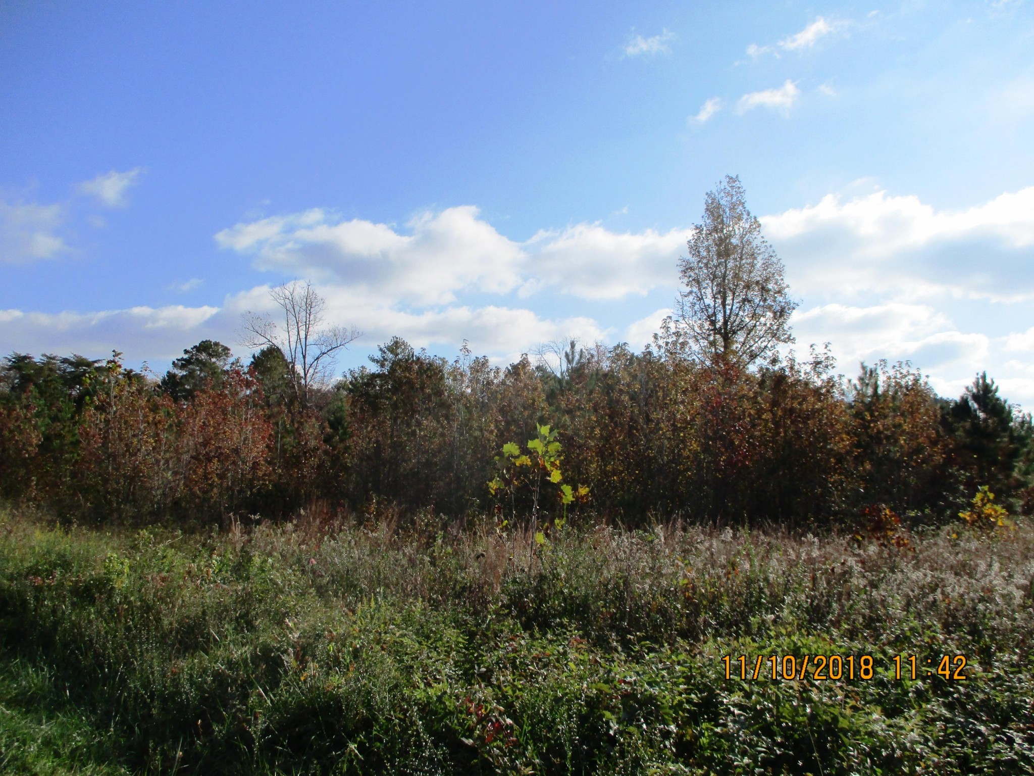 0 Lot 10 Sneed Road Dayton, TN 37321 - Photo 4 of 11 a view of a green field