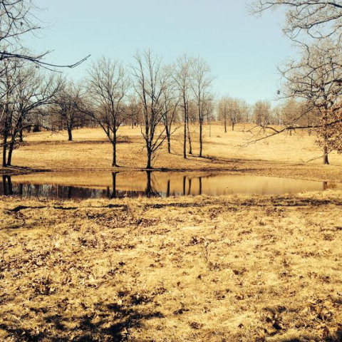 1 Rt Mountain Grove, MO 65711 - Photo 1 of 1 Primary Photo
