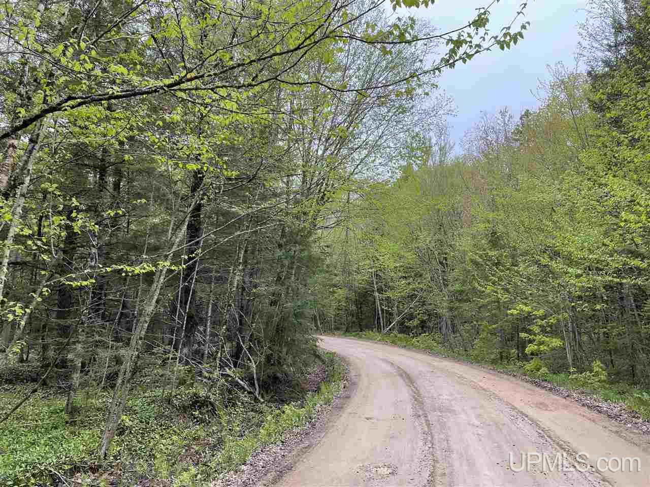 0 County Road 577 Road, Unit ANNA RIVER RDP Munising, MI 49862 - Photo 14 of 26