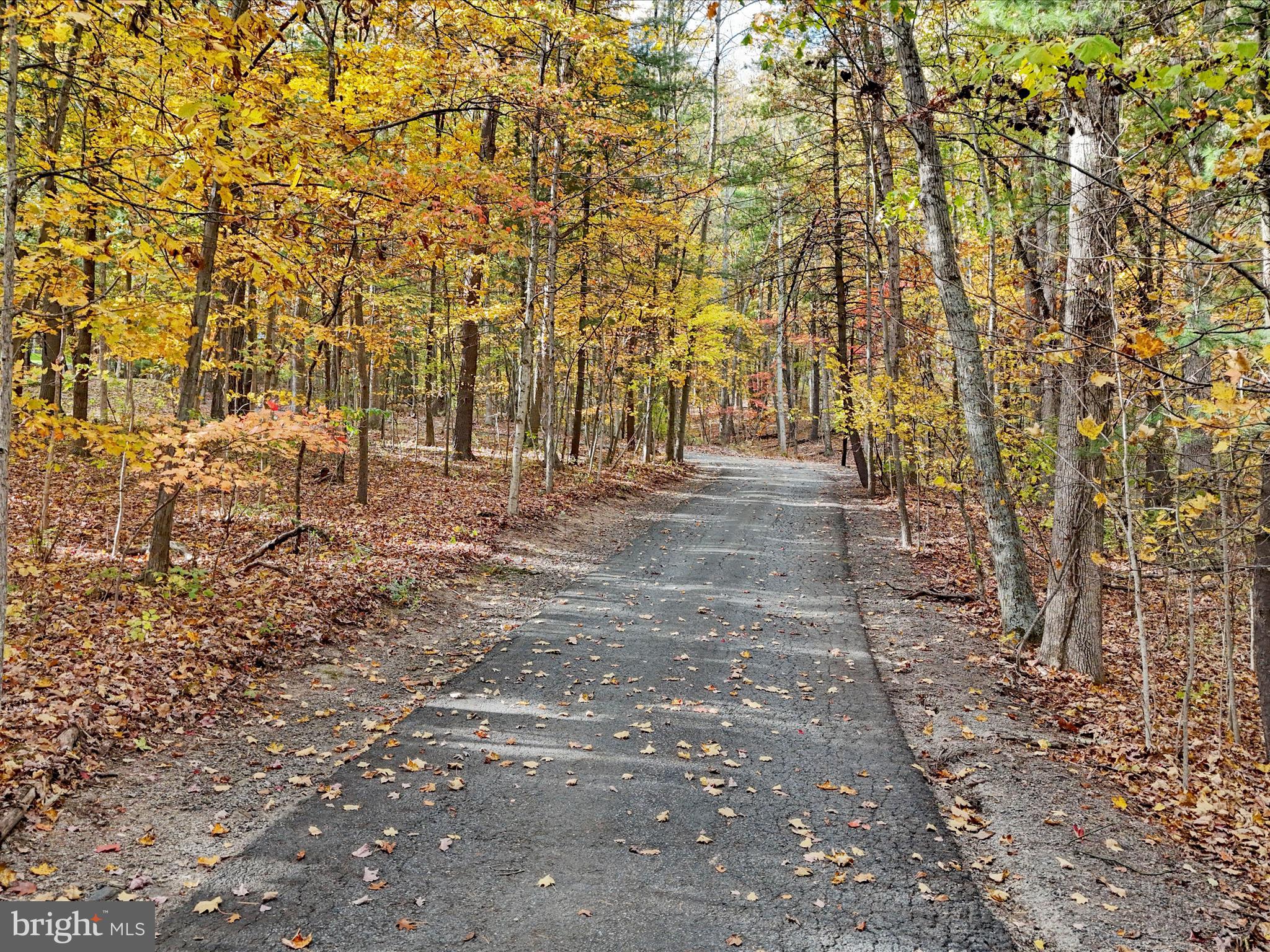 5545 Thompson Road Needmore, PA 17238 - Photo 2 of 54 Driveway