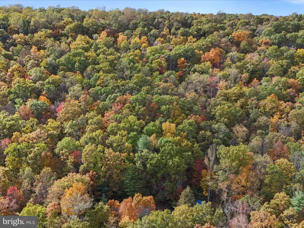 a view of outdoor space with lots of trees