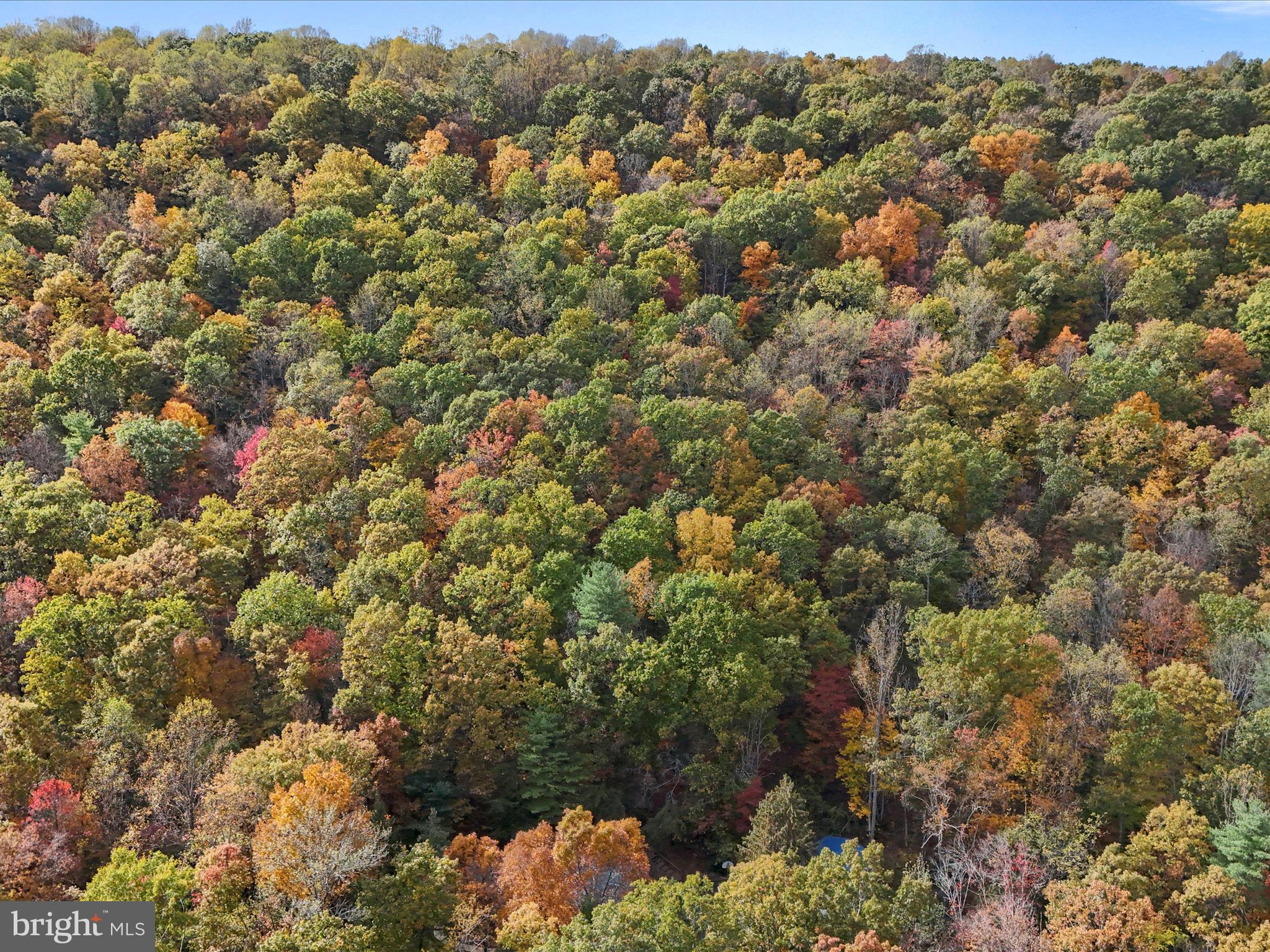 5545 Thompson Road Needmore, PA 17238 - Photo 48 of 54