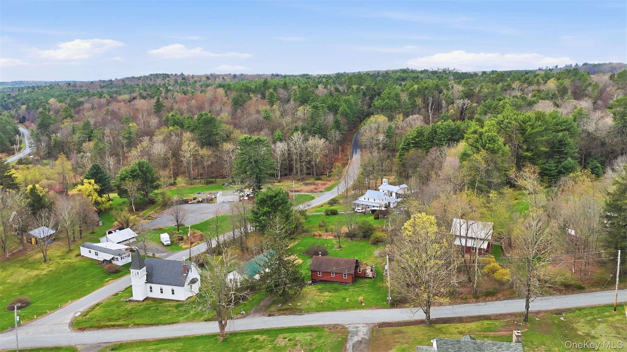 27 Old County Road Cochecton, NY 12726 - Photo 5 of 39