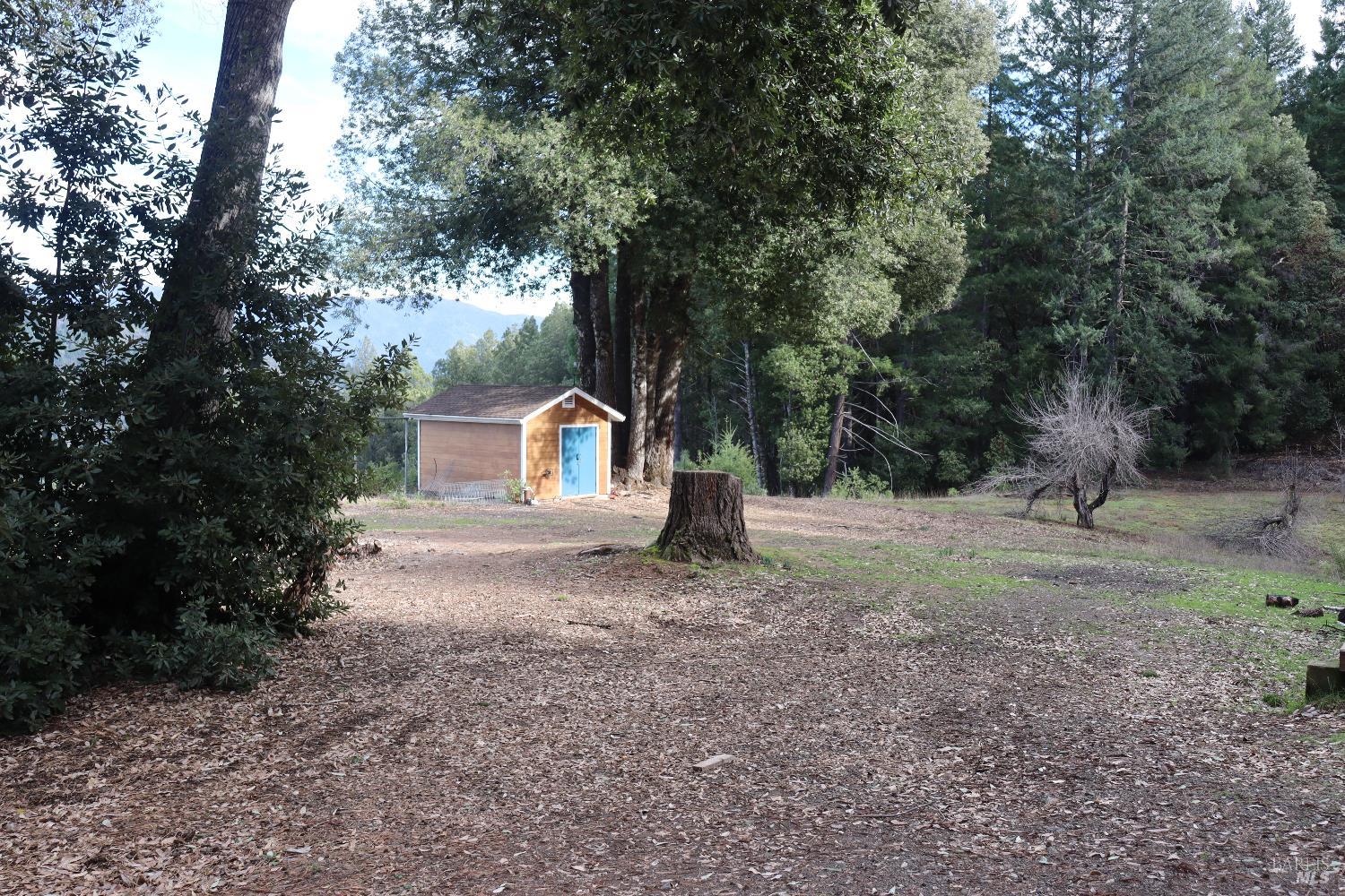 7020 Hearst Road Willits, CA 95490 - Photo 11 of 13 a view of a house with yard and a tree