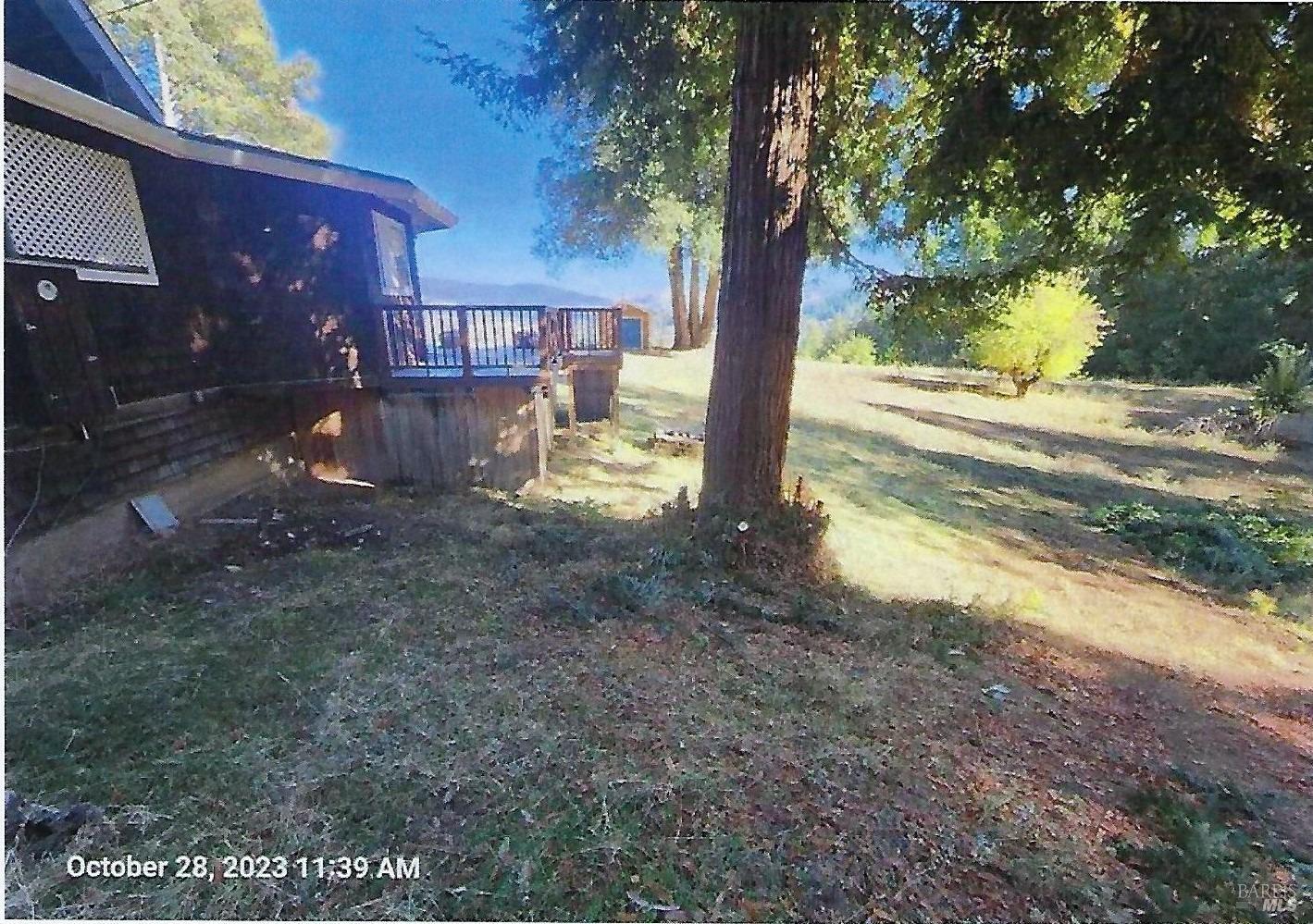 7020 Hearst Road Willits, CA 95490 - Photo 5 of 13 a view of a yard with a tree