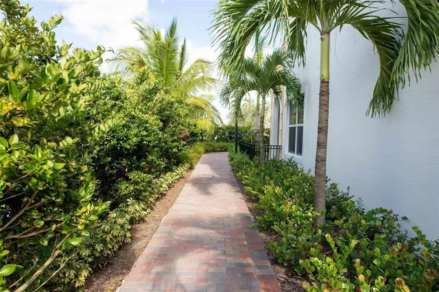 a view of a garden with plants