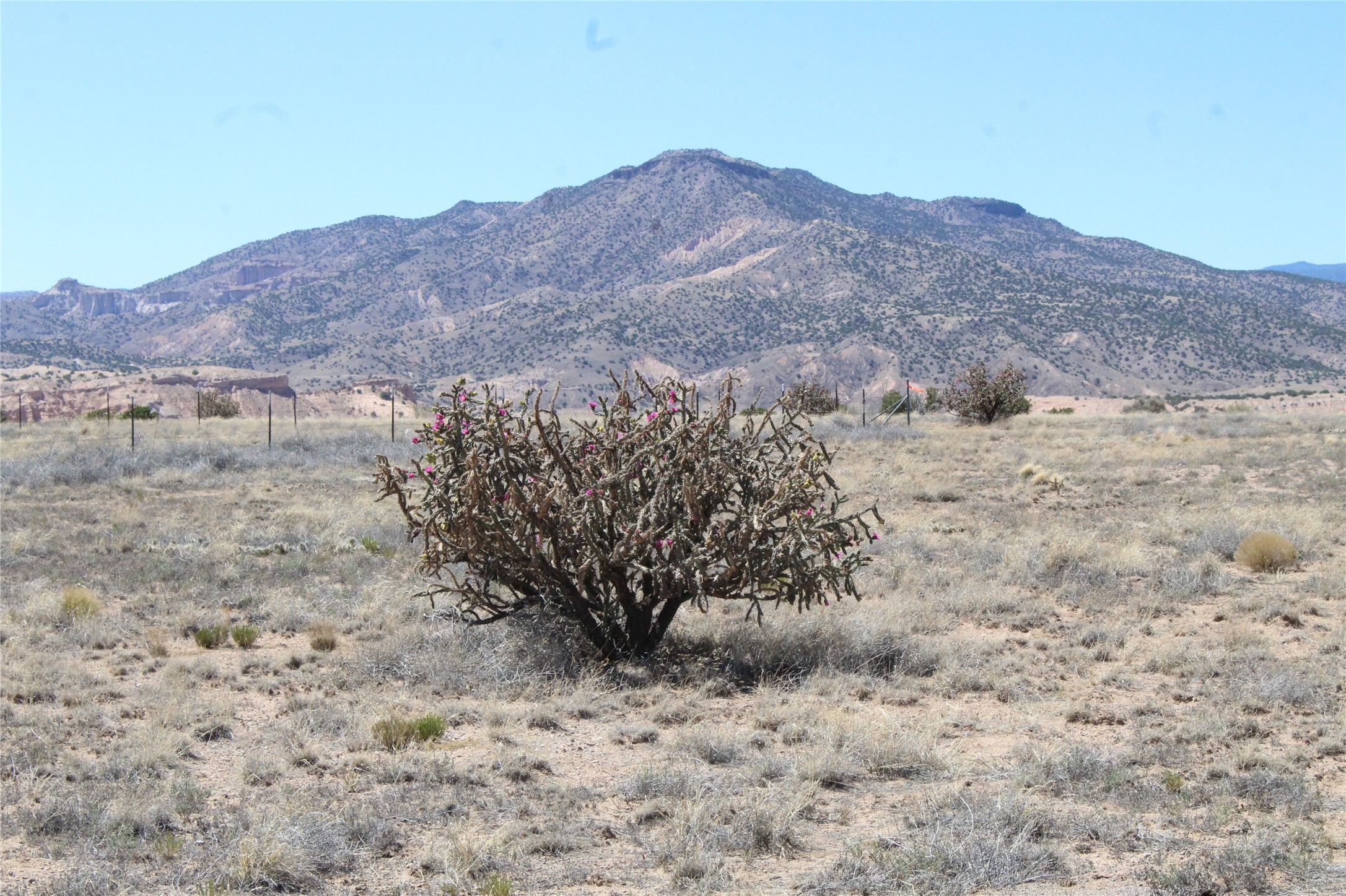 Tbd Tbd Bridle Trail Ojo Caliente, NM 87549 - Photo 4 of 7