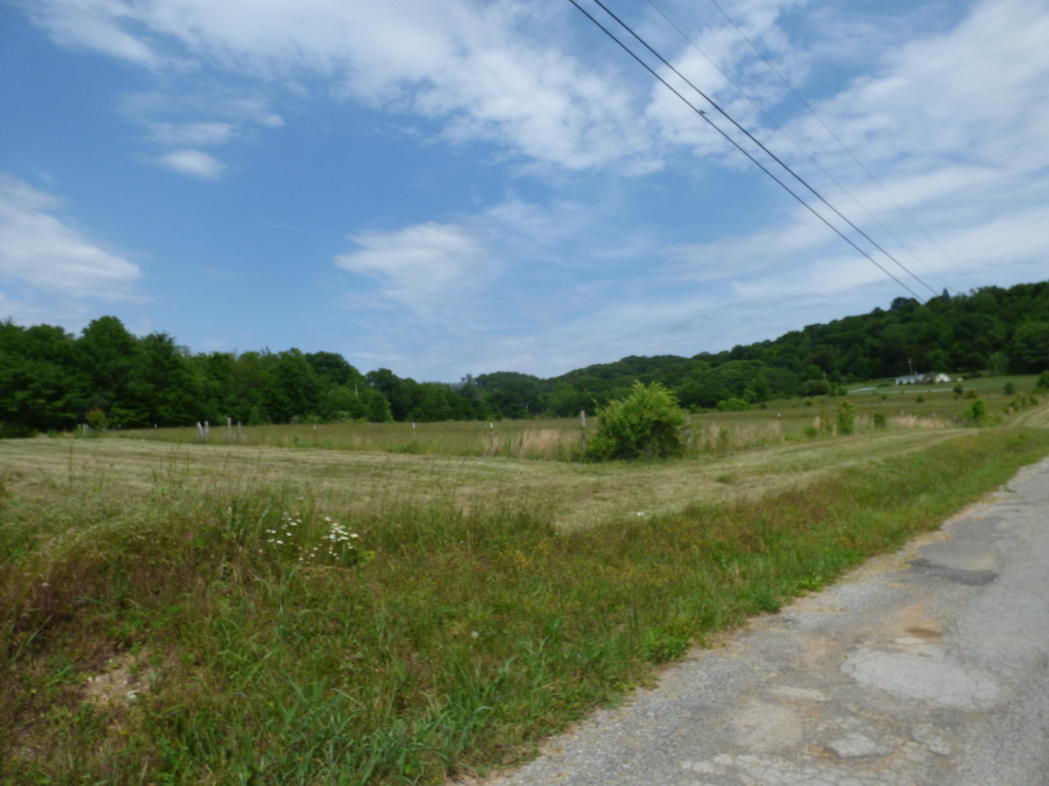 36 Lakescene Road Kingston, TN 37763 - Photo 12 of 23 Gallery Image 12