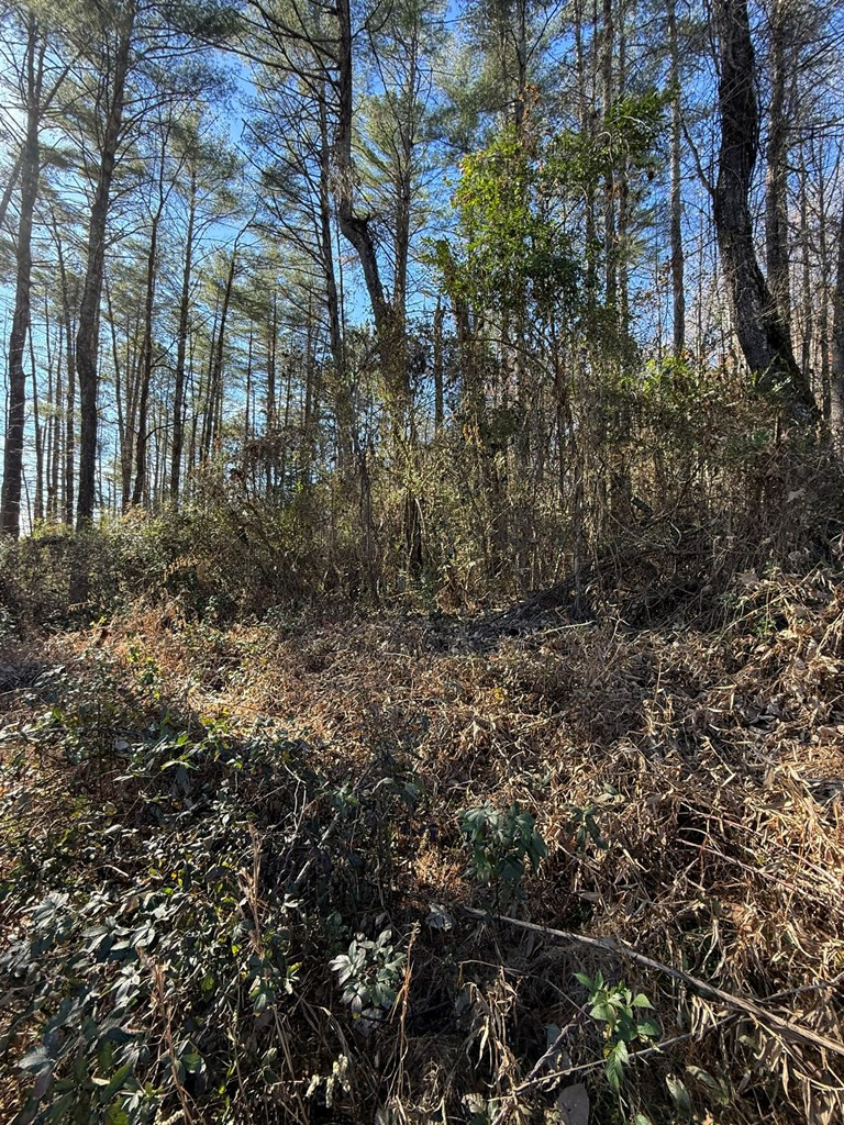 0 Airport Road Andrews, NC 28901 - Photo 5 of 12