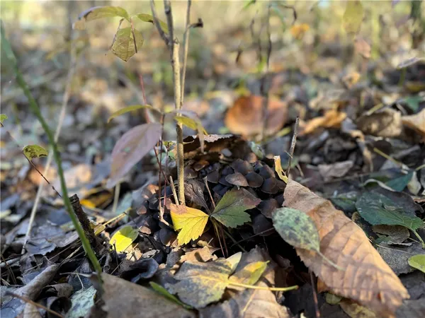 $199,900 | Willowdale Drive, Macedon, NY 14502