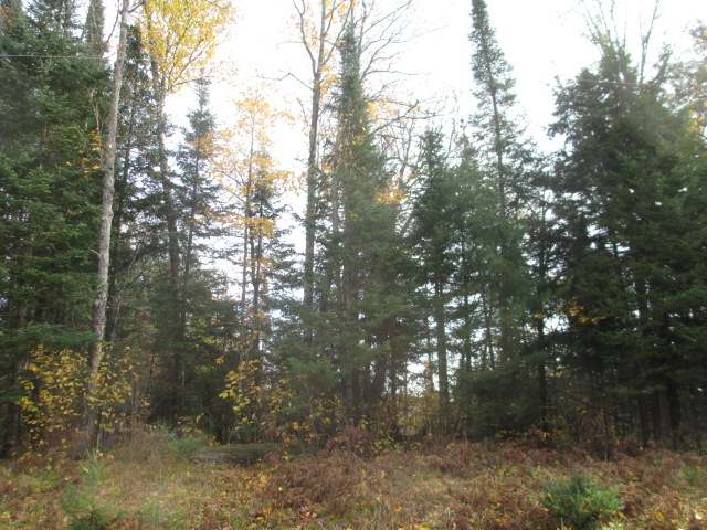 Lot 2 Cth H Mercer, WI 54547 - Photo 2 of 9 Gallery Image 2