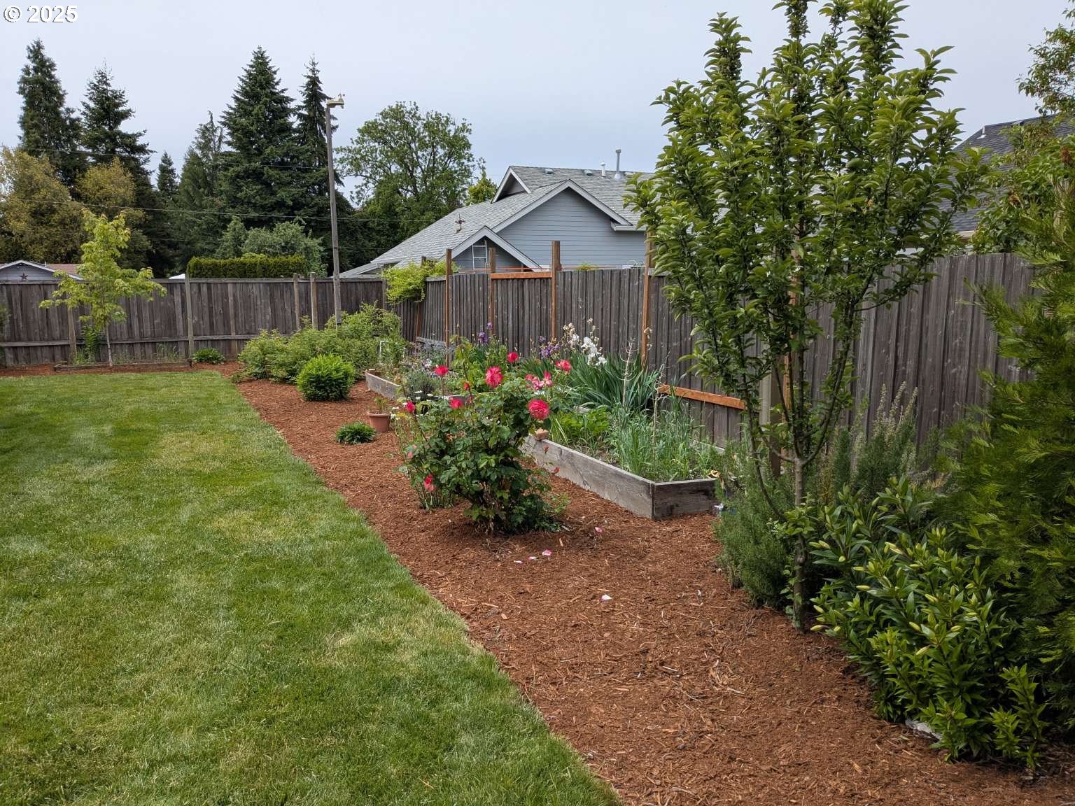 4235 Jessen Drive Eugene, OR 97402 - Photo 19 of 31 a view of a garden with wooden fence