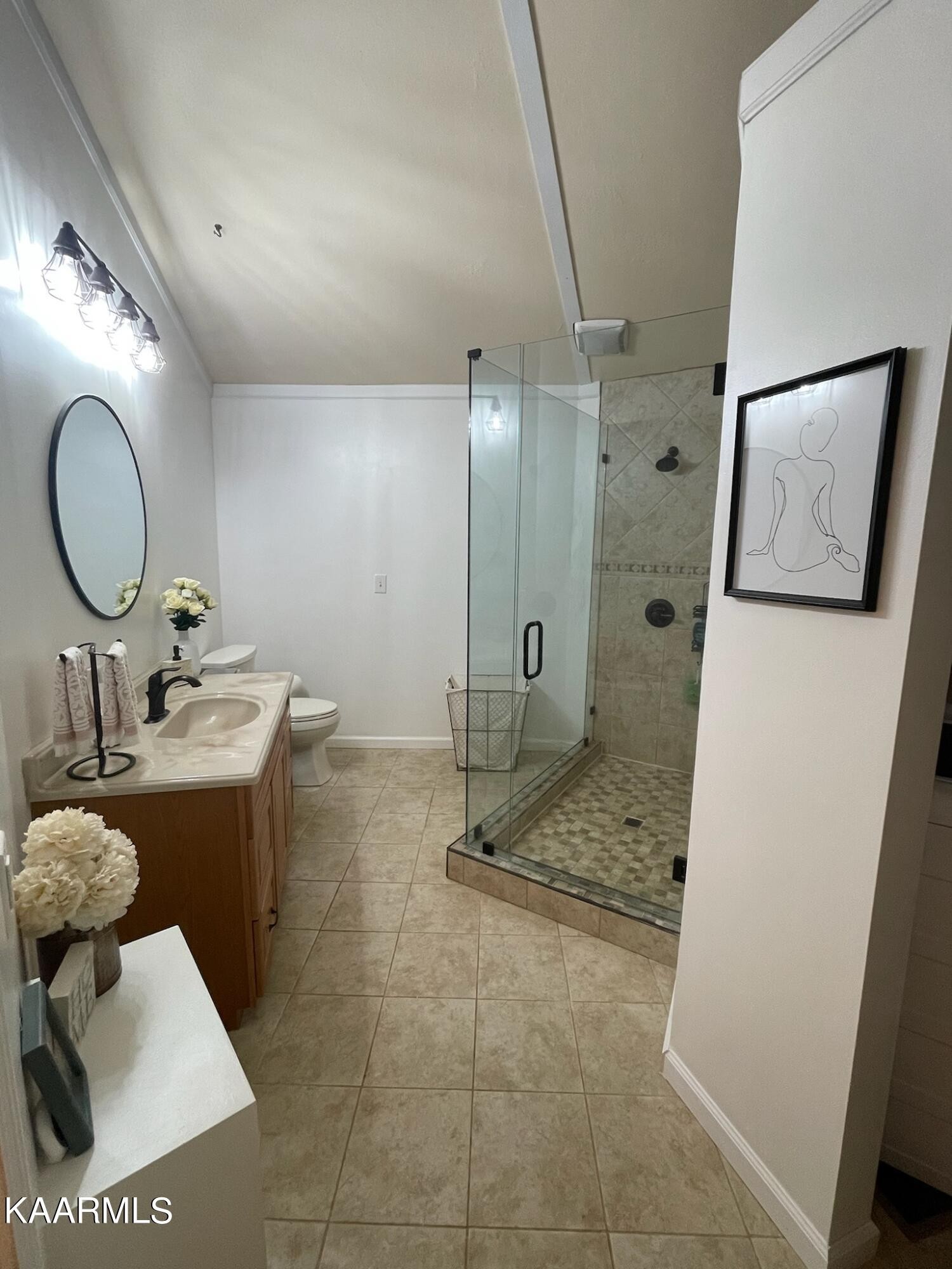 1320 A R Davis Road Seymour, TN 37865 - Photo 18 of 27 a bathroom with a sink mirror and toilet