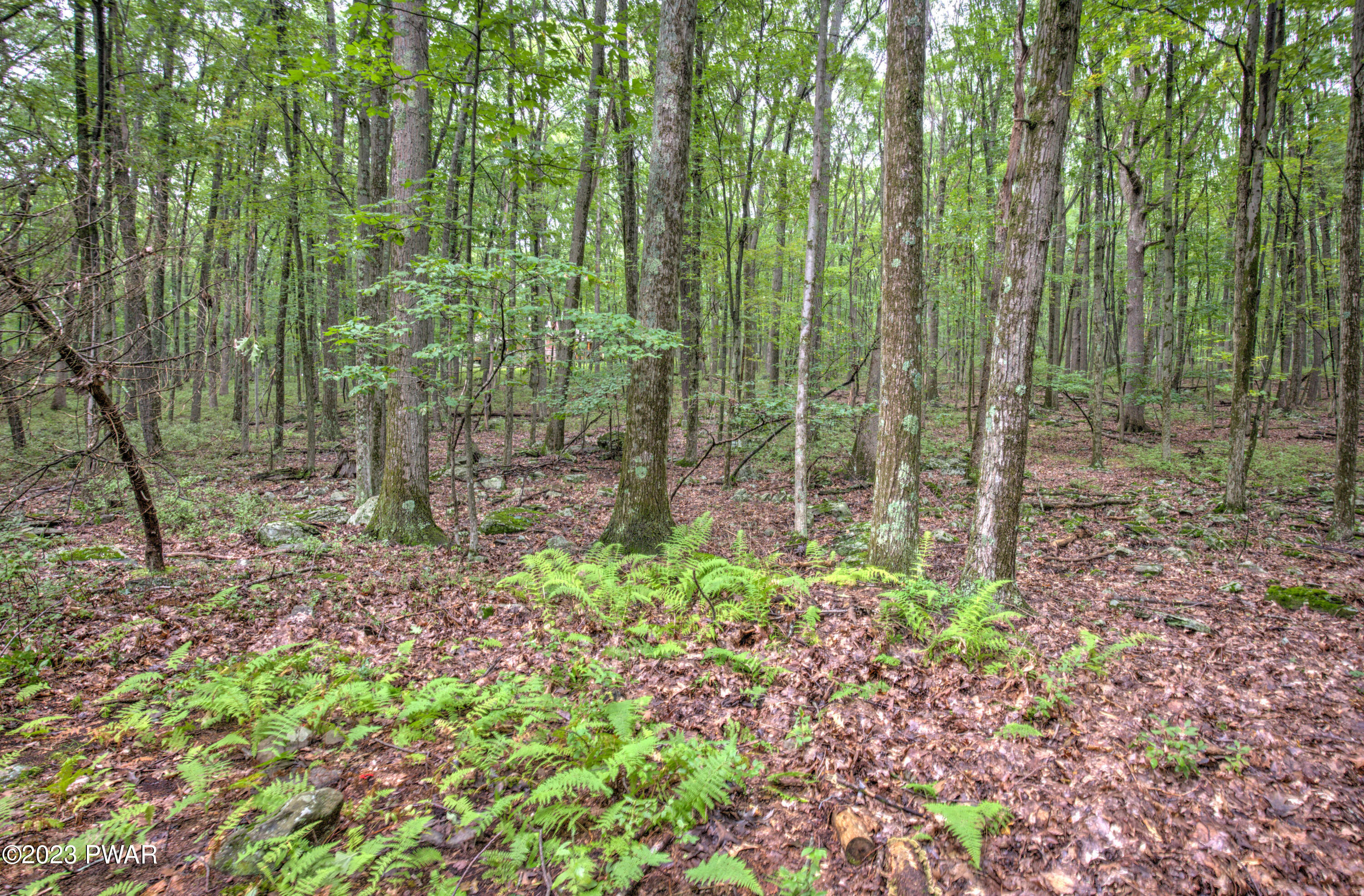 76 Whitney Lake Road Hawley, PA 18428 - Photo 29 of 36