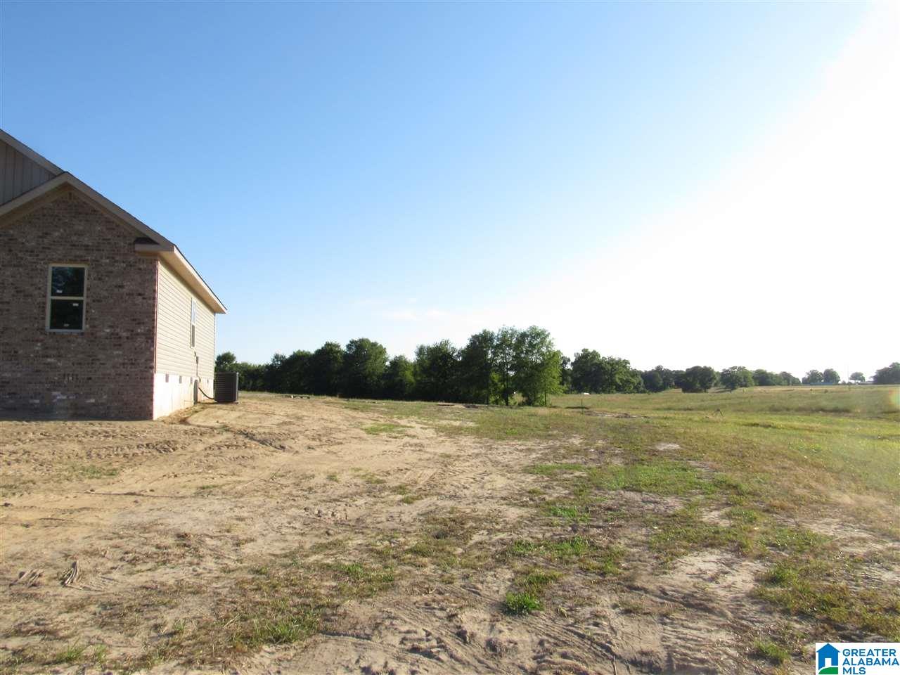 39 County Road 16 Clanton, AL 35045 - Photo 9 of 48